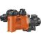 Насос (18 м3/ч 380В) Filterpump Badu 90/20 Speck Pumpen (39192001/2190202137)