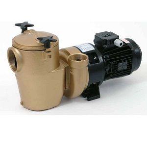 Насос бронзовый 5.5kw 380 V с префильтром Pahlen 11224