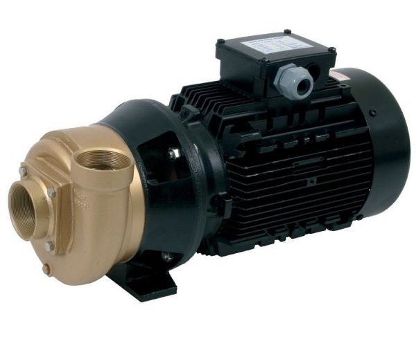 Насос бронзовый 5,5kw 380V Pahlen 11523