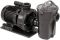 Насос (50 м3/ч 380В) Filterpump Badu 21-60/44 G Speck (236.0440.137)