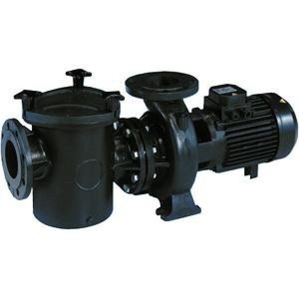 Болт крышки префильтра  насоса KS, KAP Kripsol RKS 010.A/RPUM0001.02R
