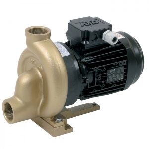 Насос (1,1кВт 230/400В) без префильтра Bronze Pahlen (11419)